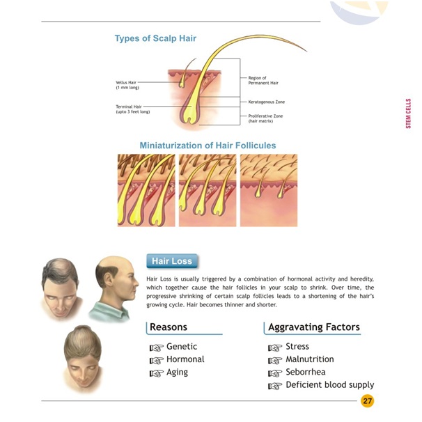 hair treatment with PRP and mesotherapy in jalandhar punjab india